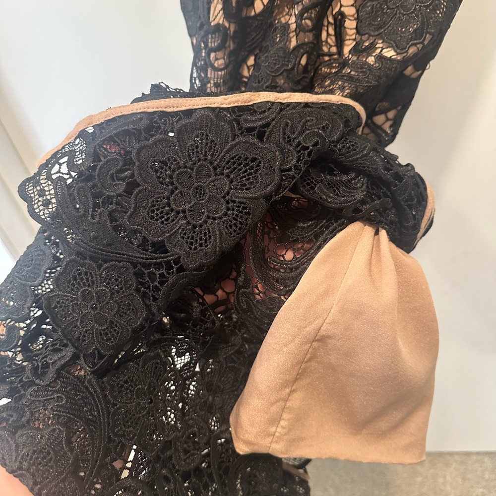 Dress the Population Black and Nude Lace Dress - Picture 7 of 8